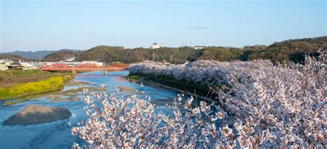 【最新】井原市で近くの風俗を探す｜風俗じゃぱ